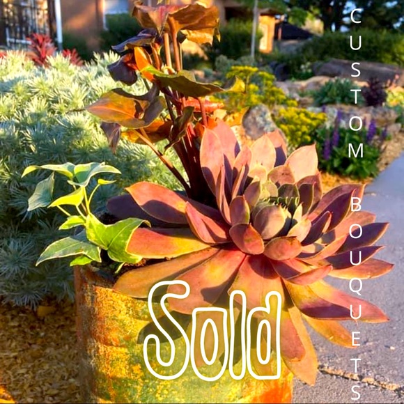 The Paisley Petal Other - CUSTOM ORDERED VINTAGE PLANTER